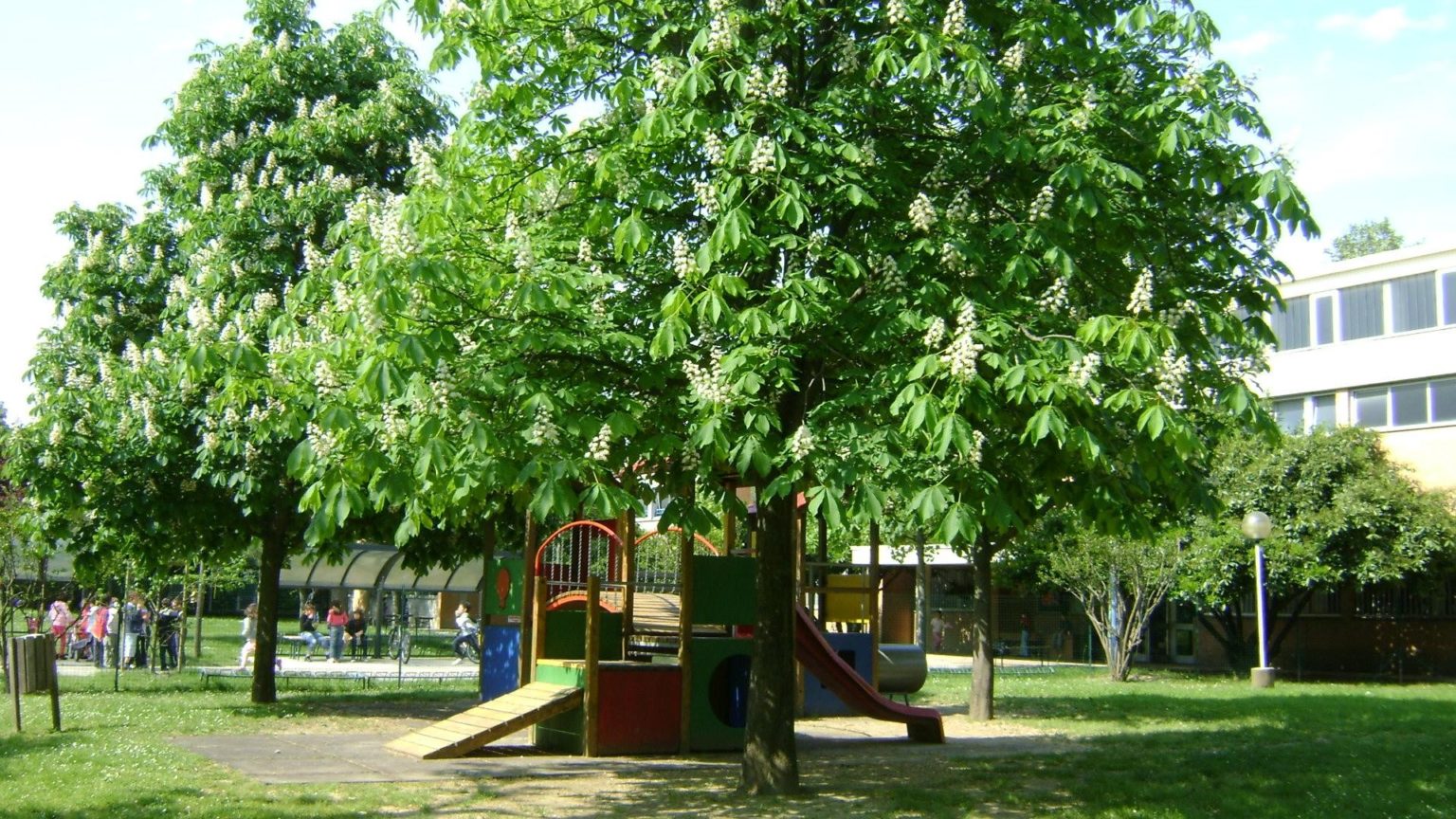 Scuola dell'infanzia Melograno